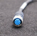 Bild des Artikels SICK-Sensor-/-Actuator-Kabel-Part-no.-2081443-M12-Buchse-8-polig-unbenutzt