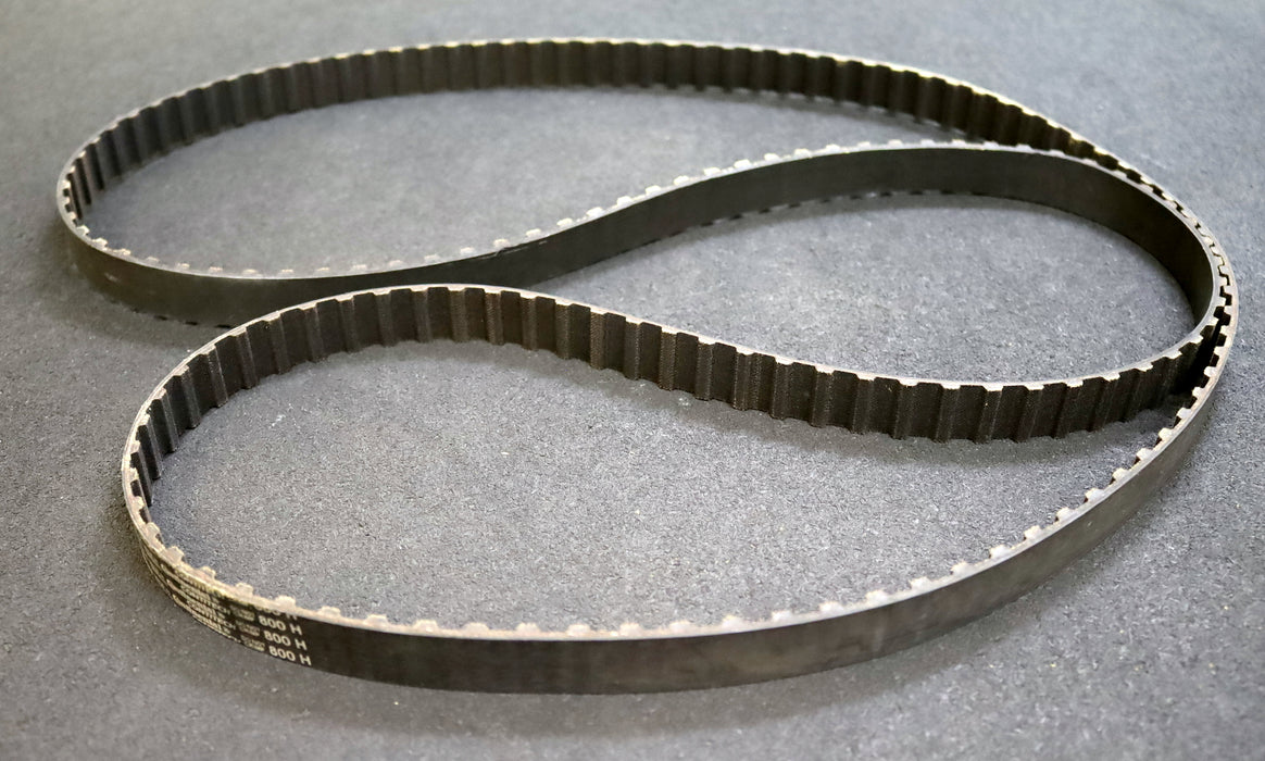 CONTITECH Zahnriemen Timing belt 800H Länge 2032mm Breite 21mm - unbenutzt