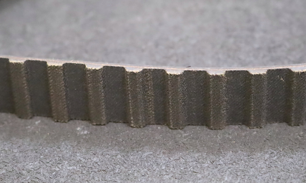 CONTITECH Zahnriemen Timing belt 800H Länge 2032mm Breite 21mm - unbenutzt