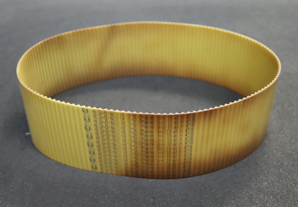 Bild des Artikels MEGADYNE-Zahnriemen-Timing-belt-T5-Breite-78mm-Länge-750mm-unbenutzt