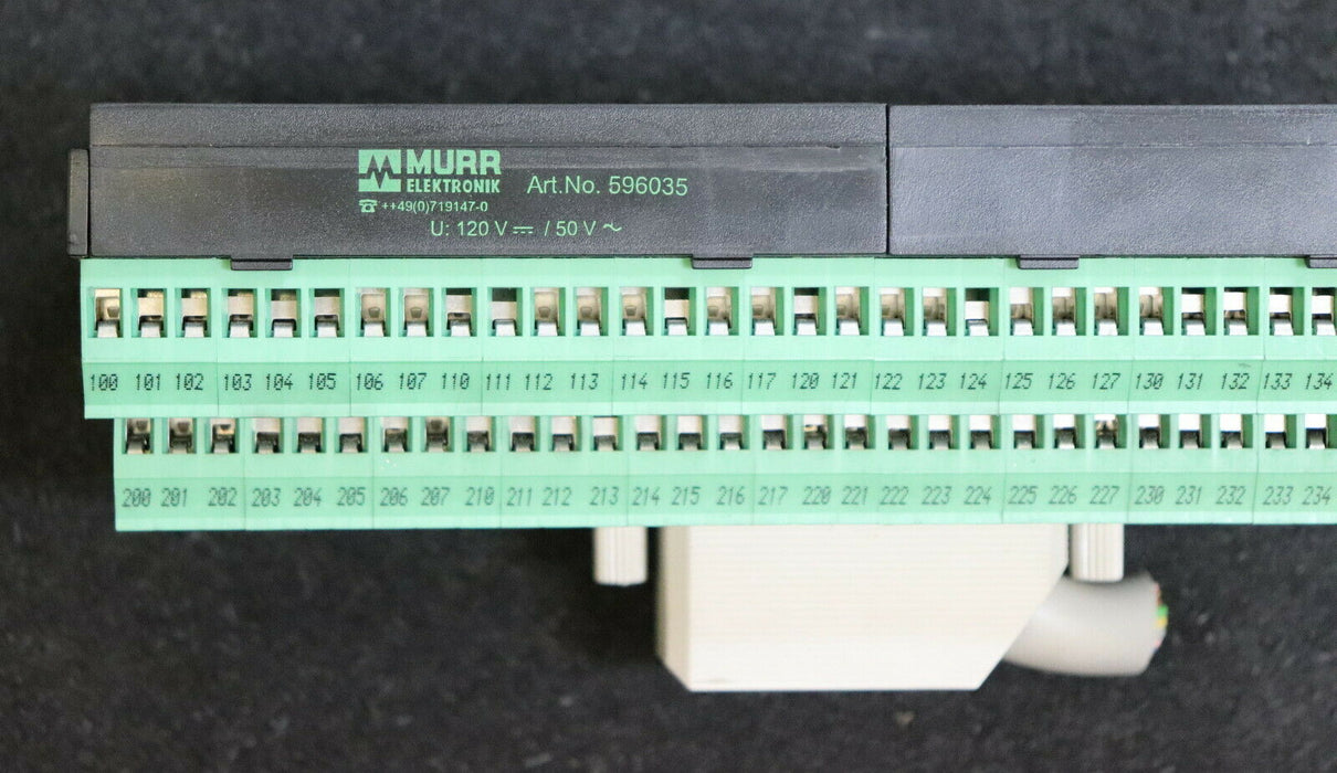 MURR ELEKTRONIC Klemmelement MISP-32DI/DO 32 Eingänge Art.Nr. 596035 120VAC/DC