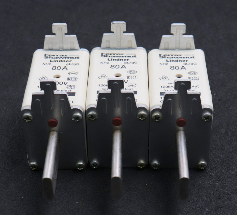 Bild des Artikels FERRAZ-SHAWMUT/LINDNER-3x-Sicherungseinsatz-fuse-link-NH2GG50V80-NH2-80A-500VAC